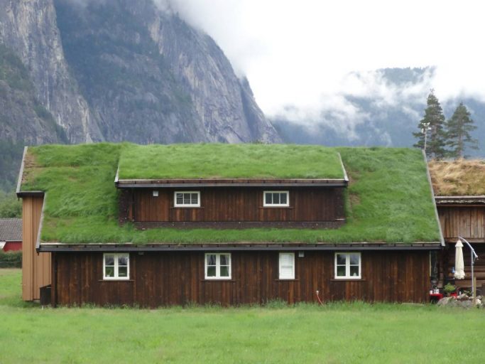 Green grass roof of cottage in village of Rysstad in southern Norway.