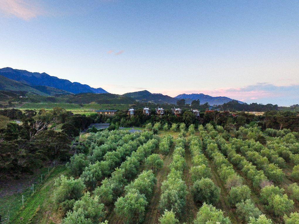 Farms, with treehouse lodges in background.