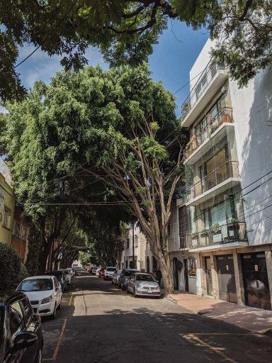 A small side street canopied by voluminous trees and a white apartment building.